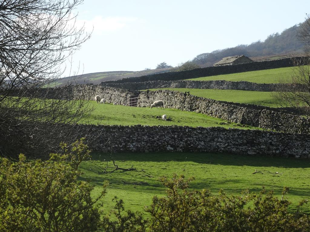 Thornsgill House Bed & Breakfast Askrigg Kamer foto