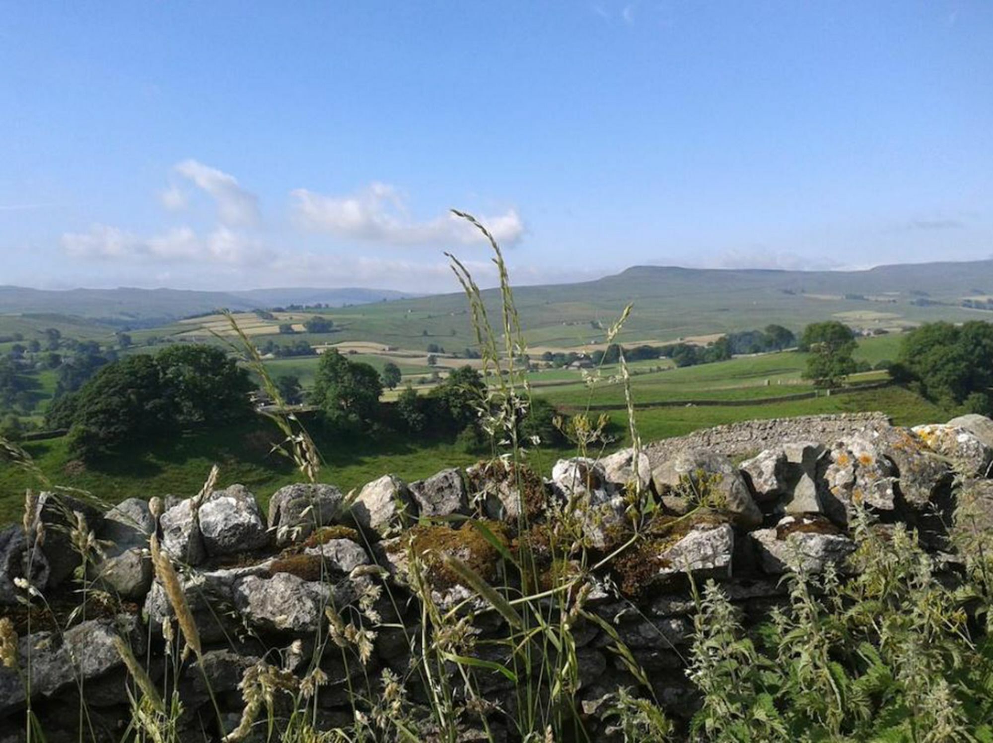 Thornsgill House Bed & Breakfast Askrigg Buitenkant foto